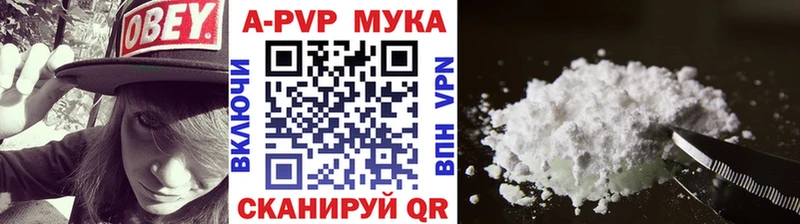ОМГ ОМГ как войти Кедровый Alpha-PVP СК