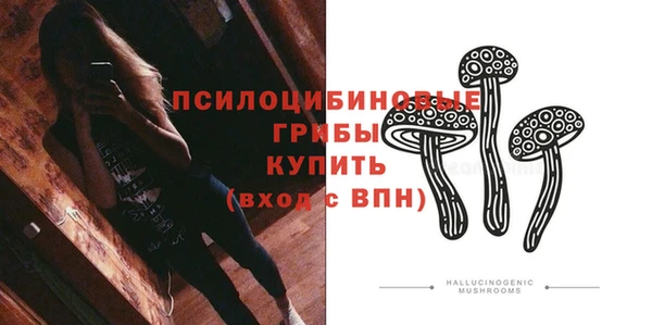 шишки Сатка
