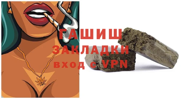 шишки Сатка