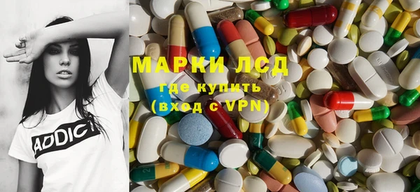 шишки Сатка