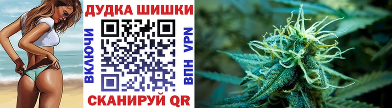 гидра   купить   Кедровый  Канабис план 